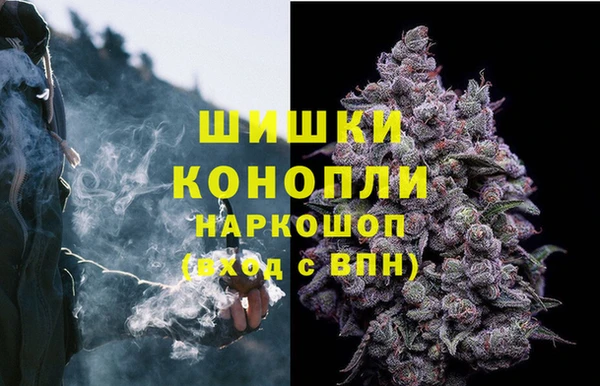 молекула духа Новодвинск