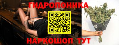 альфа пвп Берёзовский