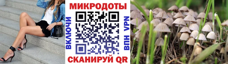 даркнет как зайти  Балаково  Псилоцибиновые грибы прущие грибы 