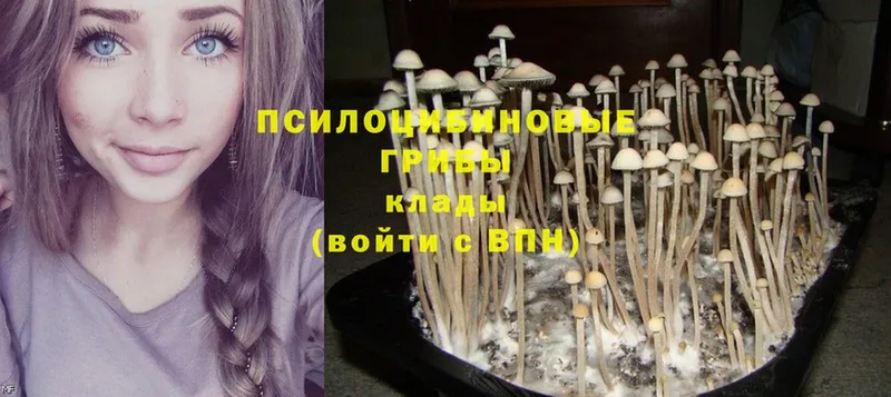 Псилоцибиновые грибы Magic Shrooms  кракен зеркало  Балаково 