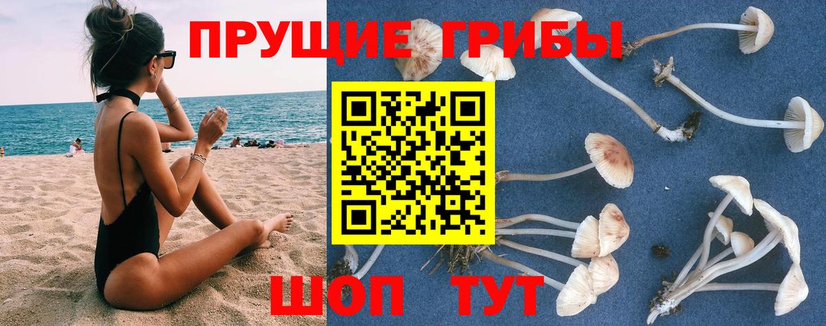 Псилоцибиновые грибы GOLDEN TEACHER Балаково
