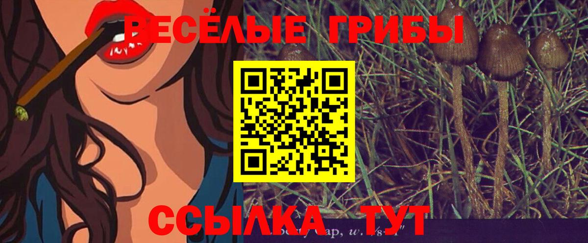 Галлюциногенные грибы Psilocybine cubensis Балаково